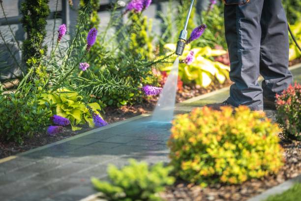 Best Parking Lot and Garage Cleaning  in Conway, FL