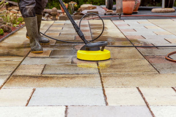 Best Animal Enclosure Cleaning  in Conway, FL